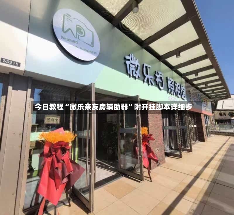 今日教程“微乐亲友房辅助器”附开挂脚本详细步-第2张图片