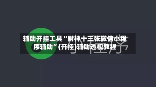 辅助开挂工具“财神十三张微信小程序辅助”(开挂)辅助透视教程-第2张图片