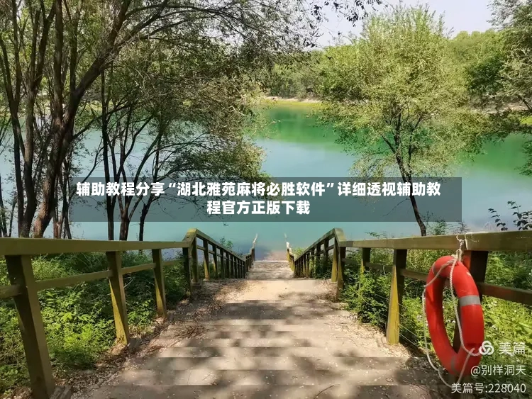 辅助教程分享“湖北雅苑麻将必胜软件”详细透视辅助教程官方正版下载-第3张图片