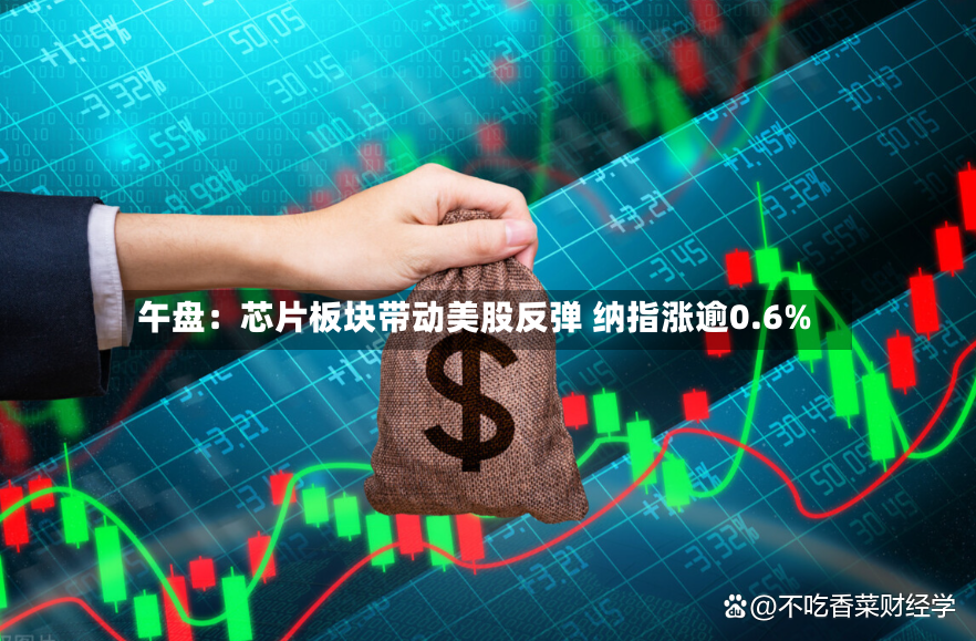午盘:芯片板块带动美股反弹 纳指涨逾0.6%-第3张图片