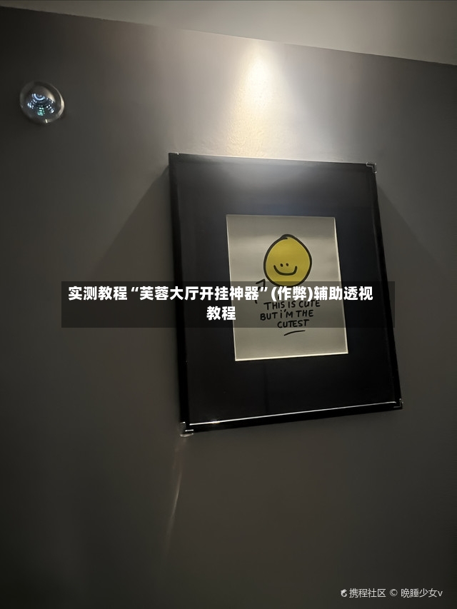 实测教程“芙蓉大厅开挂神器	”(作弊)辅助透视教程-第3张图片