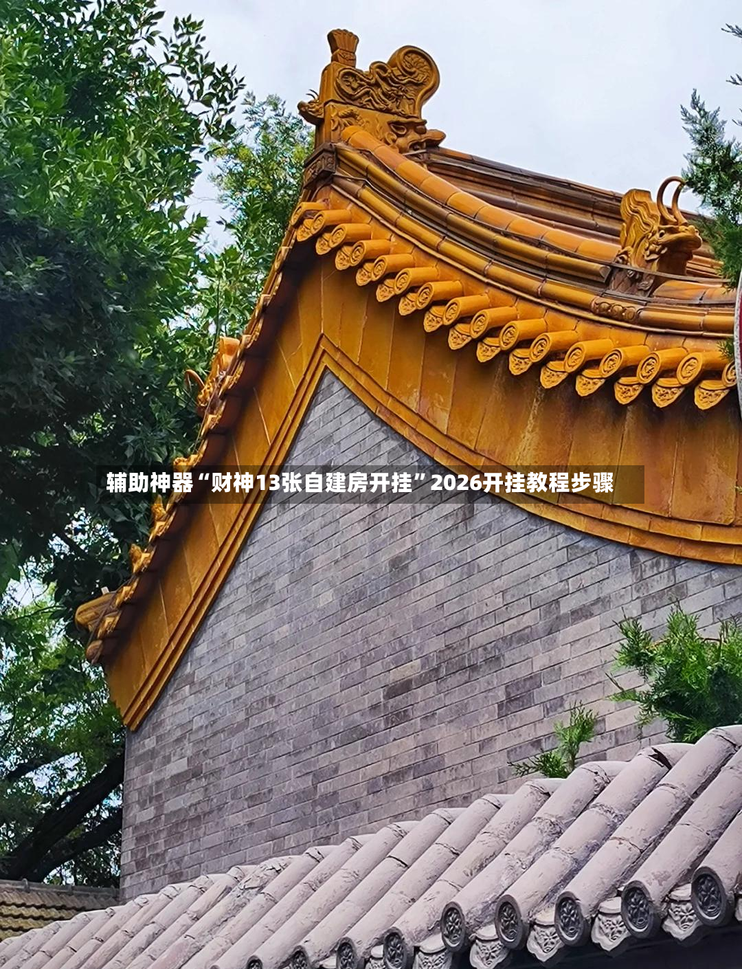 辅助神器“财神13张自建房开挂”2026开挂教程步骤-第2张图片