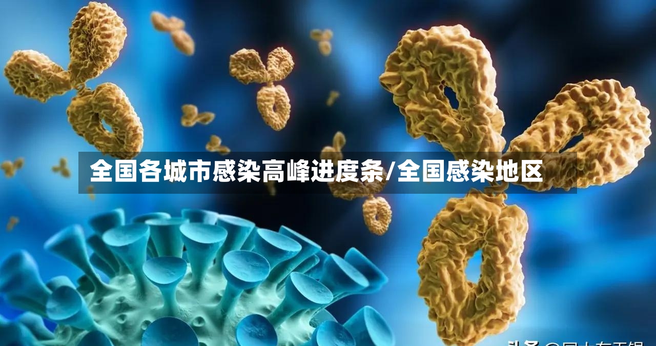 全国各城市感染高峰进度条/全国感染地区-第2张图片