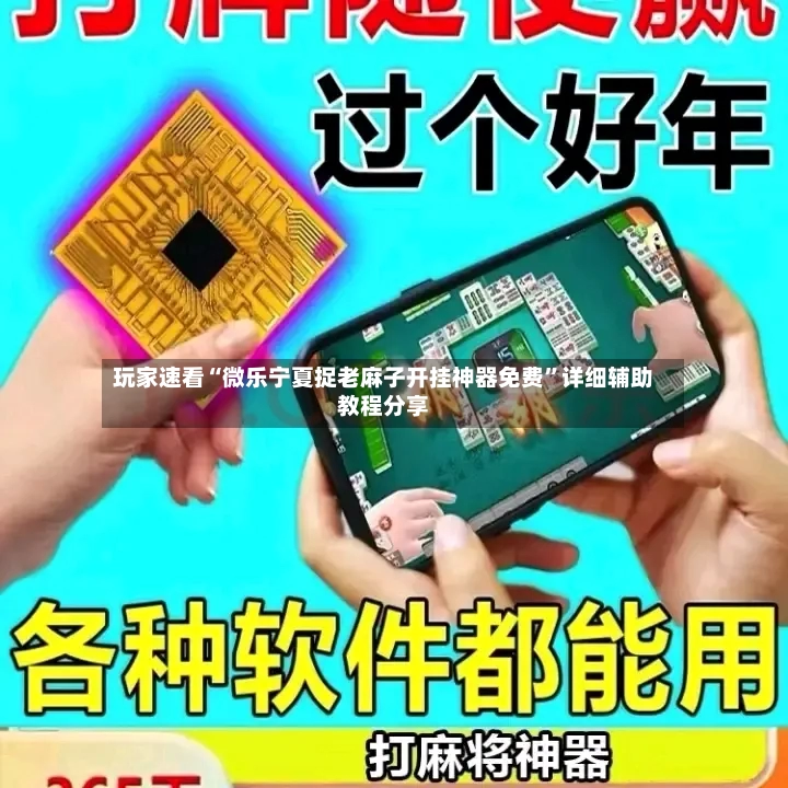 玩家速看“微乐宁夏捉老麻子开挂神器免费	”详细辅助教程分享-第2张图片
