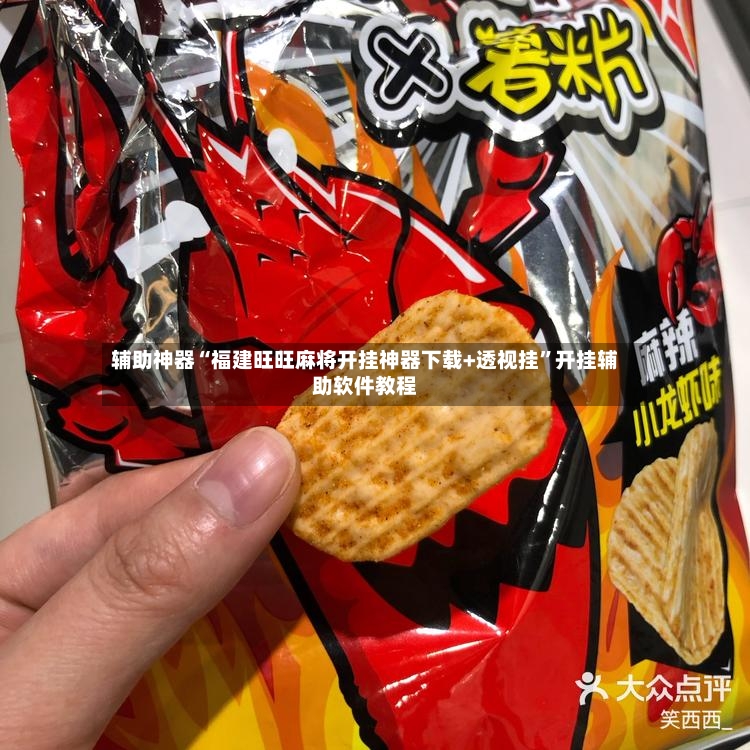 辅助神器“福建旺旺麻将开挂神器下载+透视挂”开挂辅助软件教程-第2张图片
