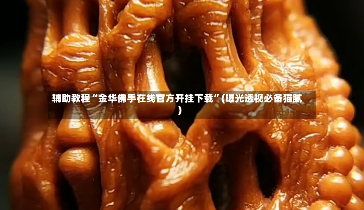 辅助教程“金华佛手在线官方开挂下载”(曝光透视必备猫腻)-第2张图片