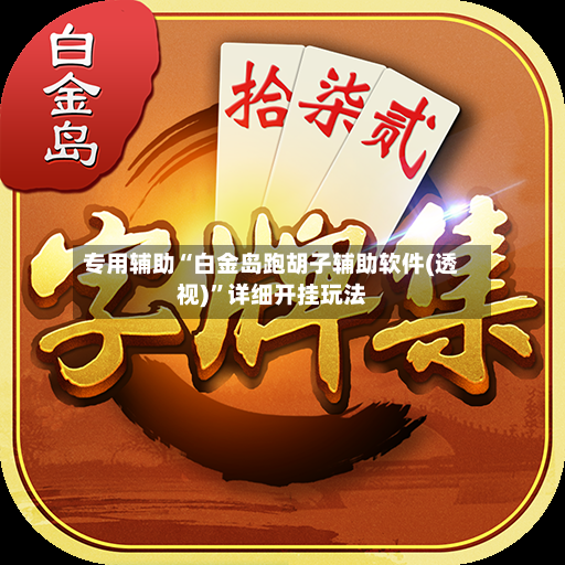 专用辅助“白金岛跑胡子辅助软件(透视)	”详细开挂玩法-第2张图片