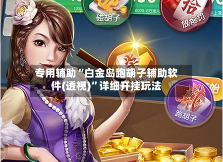 专用辅助“白金岛跑胡子辅助软件(透视)”详细开挂玩法-第3张图片