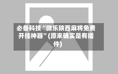 必备科技“微乐陕西麻将免费开挂神器”(原来确实是有插件)-第2张图片
