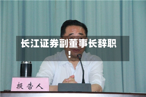 长江证券副董事长辞职！-第2张图片