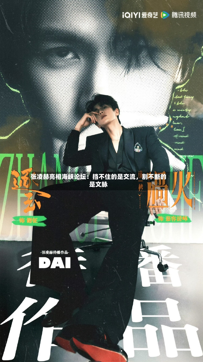 张凌赫亮相海峡论坛：挡不住的是交流，割不断的是文脉-第3张图片