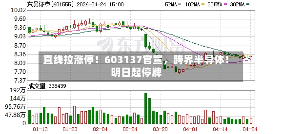 直线拉涨停！603137官宣，跨界半导体！明日起停牌-第2张图片