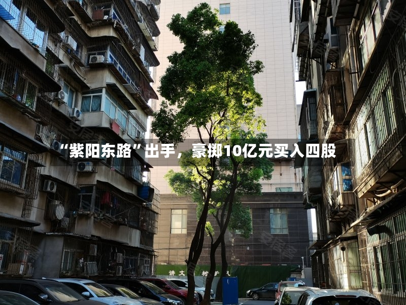 “紫阳东路	”出手，豪掷10亿元买入四股-第3张图片