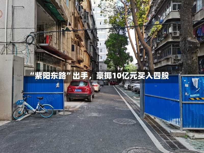 “紫阳东路”出手，豪掷10亿元买入四股-第2张图片