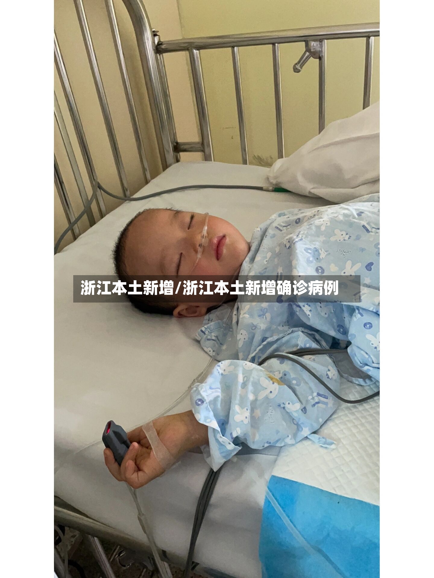 浙江本土新增/浙江本土新增确诊病例