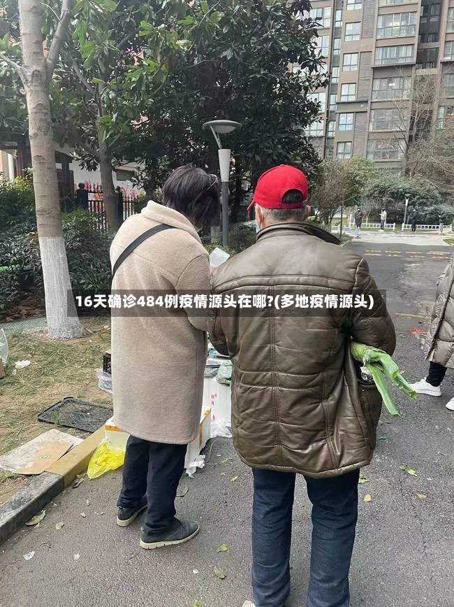 16天确诊484例疫情源头在哪?(多地疫情源头)