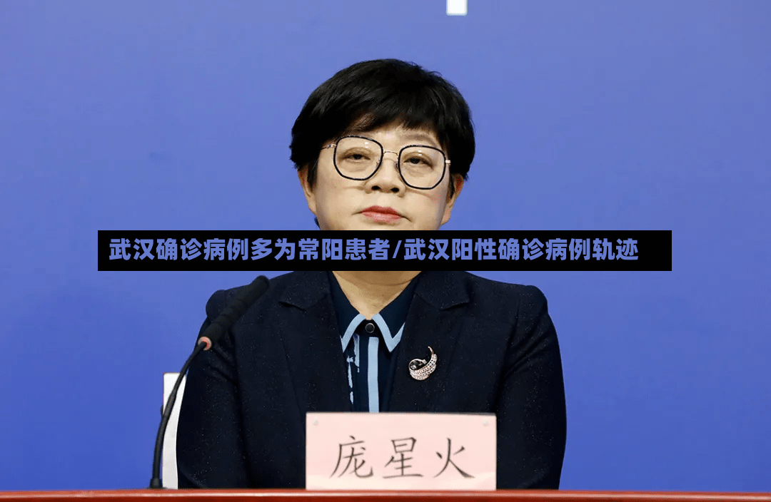 武汉确诊病例多为常阳患者/武汉阳性确诊病例轨迹-第3张图片
