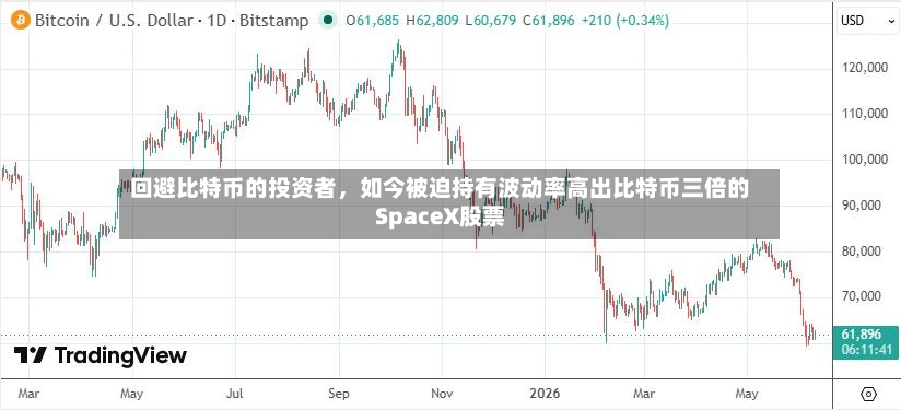 回避比特币的投资者，如今被迫持有波动率高出比特币三倍的SpaceX股票