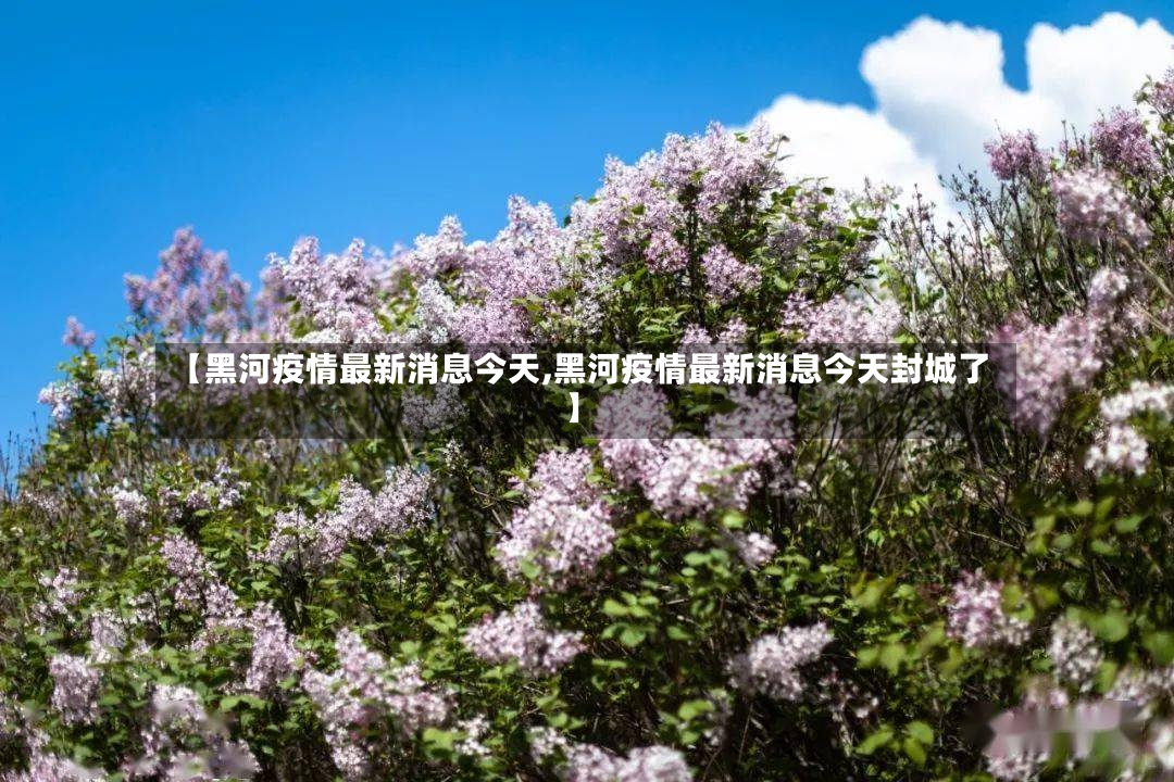 【黑河疫情最新消息今天,黑河疫情最新消息今天封城了】-第3张图片