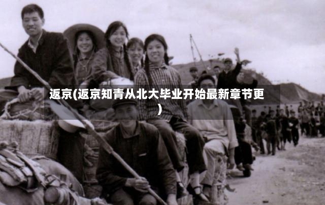 返京(返京知青从北大毕业开始最新章节更)