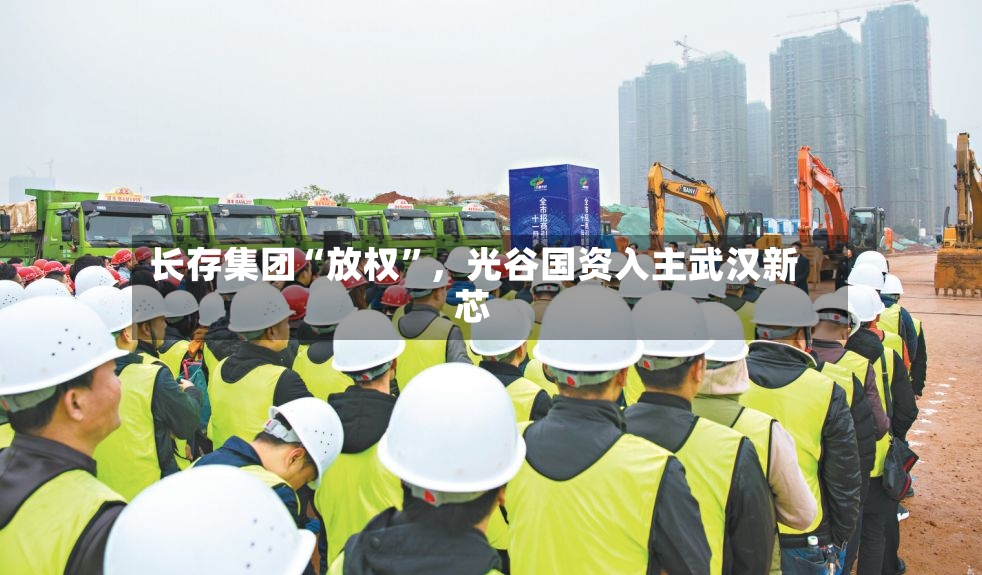 长存集团“放权”，光谷国资入主武汉新芯-第2张图片