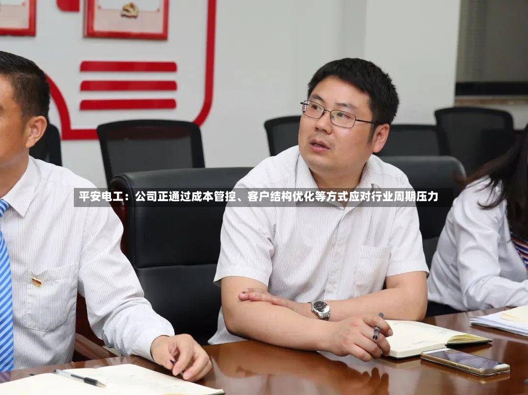 平安电工：公司正通过成本管控、客户结构优化等方式应对行业周期压力-第3张图片