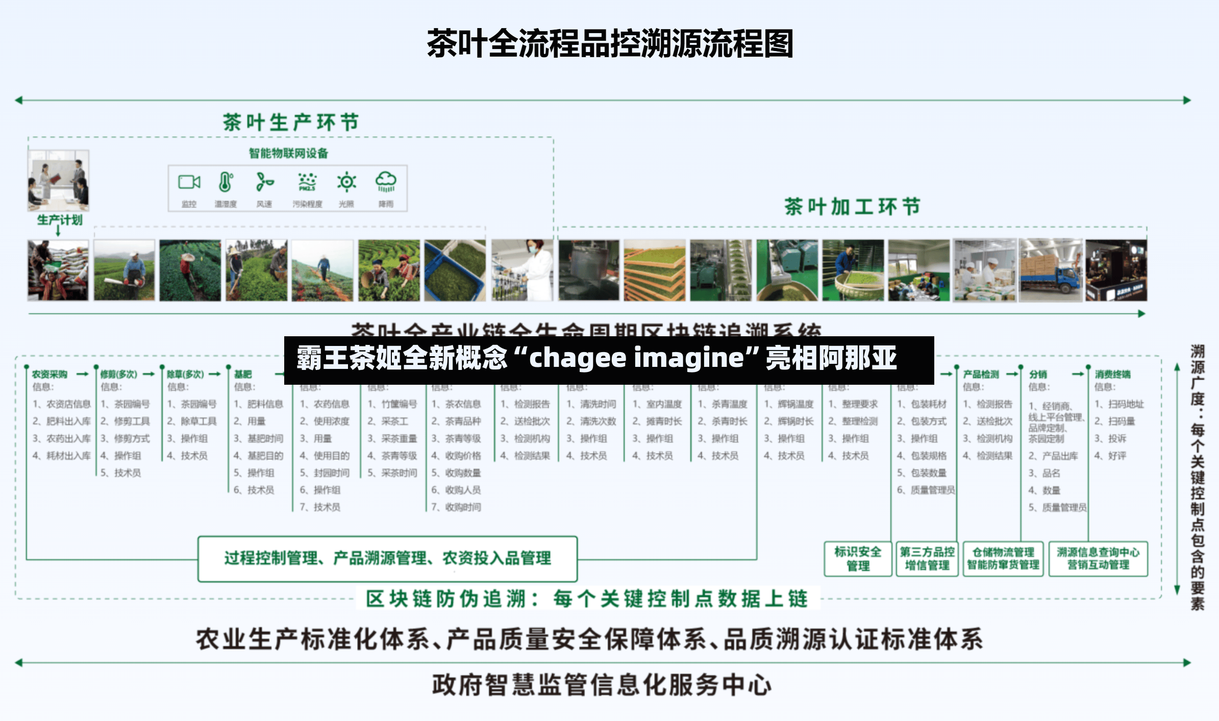 霸王茶姬全新概念“chagee imagine”亮相阿那亚-第2张图片