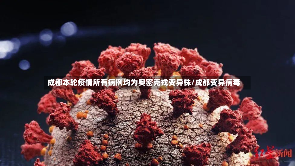 成都本轮疫情所有病例均为奥密克戎变异株/成都变异病毒