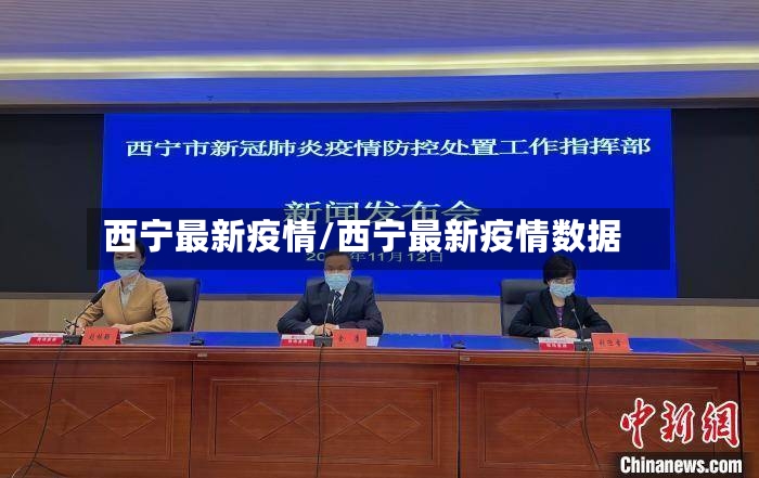 西宁最新疫情/西宁最新疫情数据-第2张图片