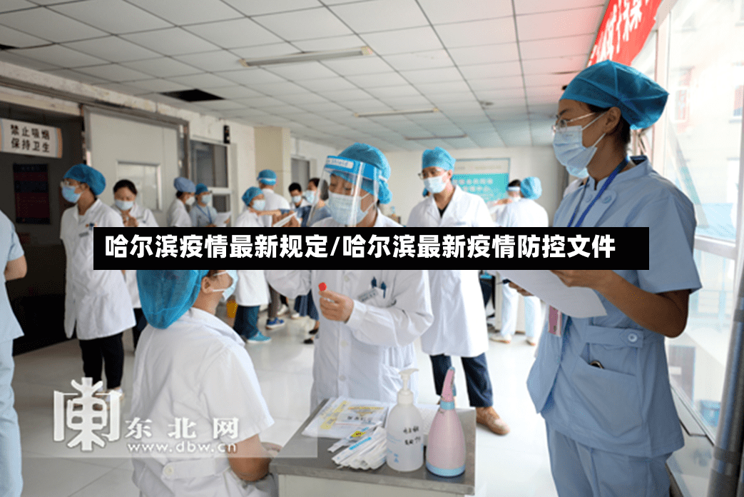 哈尔滨疫情最新规定/哈尔滨最新疫情防控文件-第2张图片
