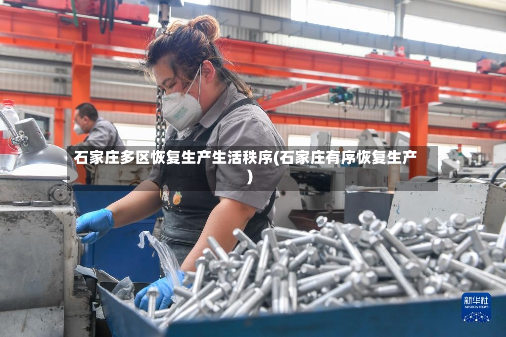 石家庄多区恢复生产生活秩序(石家庄有序恢复生产)-第2张图片