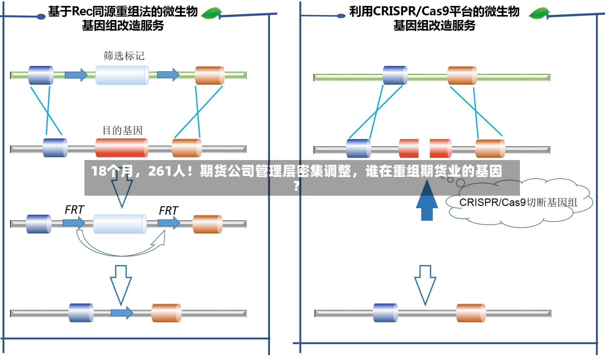 18个月，261人！期货公司管理层密集调整	，谁在重组期货业的基因？-第3张图片