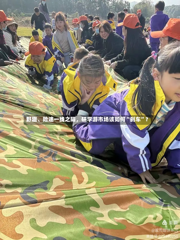 野趣	、险途一线之隔，研学游市场该如何“刹车”？-第3张图片