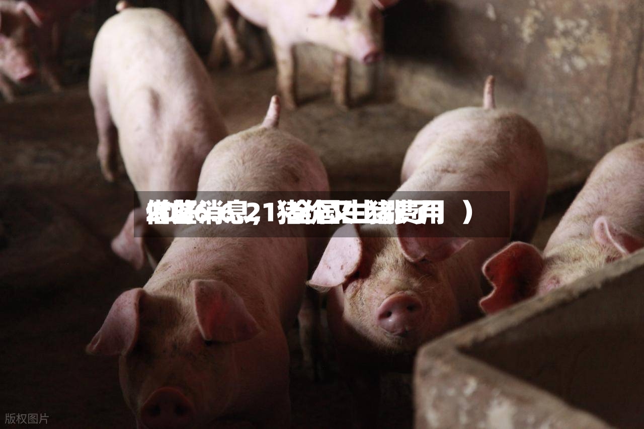 2026.6.21-全国生猪费用借鉴（好消息	，猪价又上涨了！）-第2张图片
