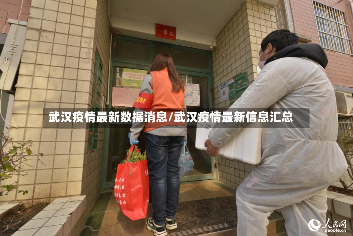 武汉疫情最新数据消息/武汉疫情最新信息汇总