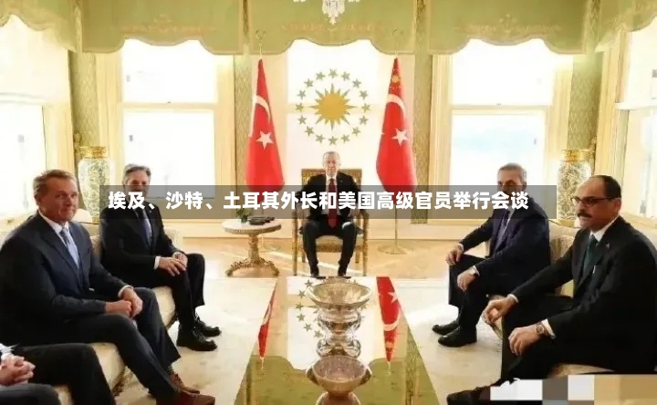 埃及	、沙特、土耳其外长和美国高级官员举行会谈-第2张图片