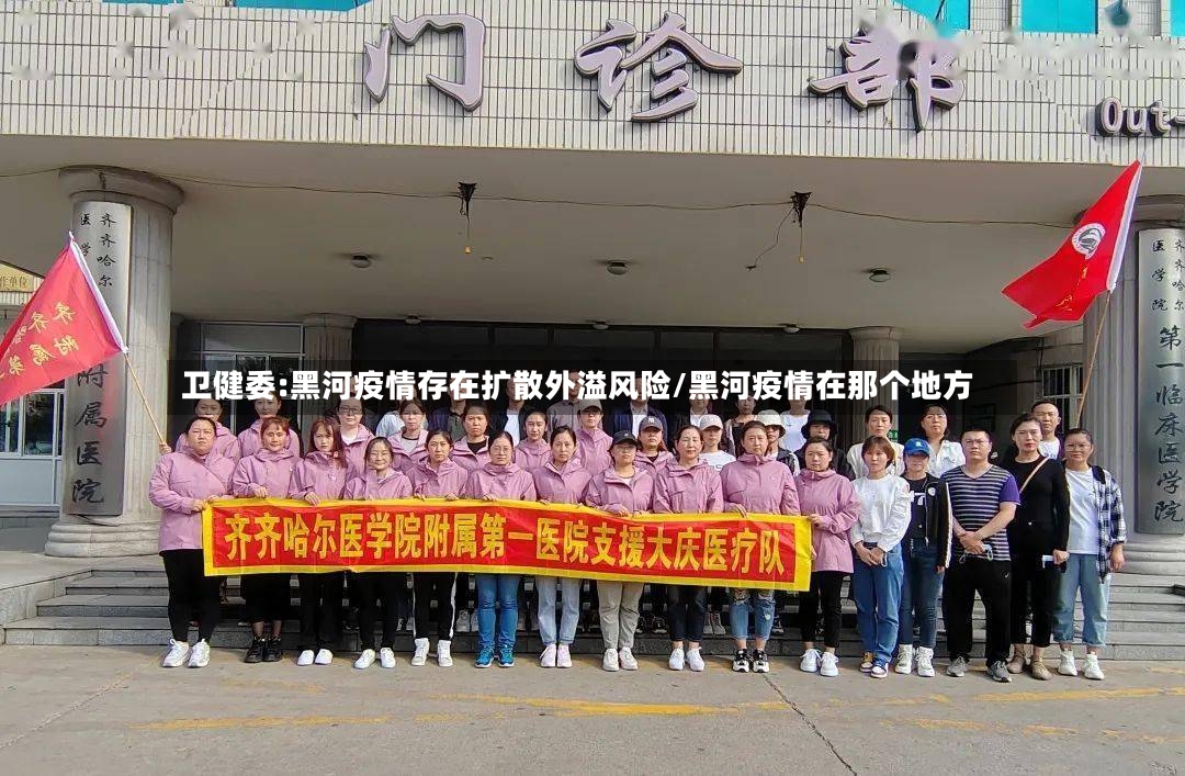 卫健委:黑河疫情存在扩散外溢风险/黑河疫情在那个地方