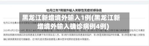 黑龙江新增境外输入1例(黑龙江新增境外输入确诊病例4例)-第3张图片