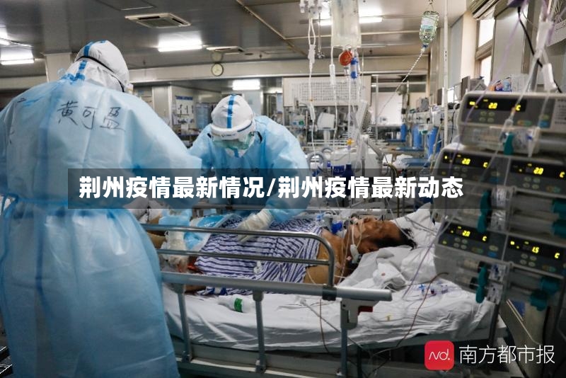 荆州疫情最新情况/荆州疫情最新动态-第3张图片