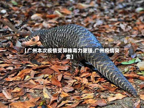 【广州本次疫情变异株毒力更强,广州疫情突变】-第2张图片