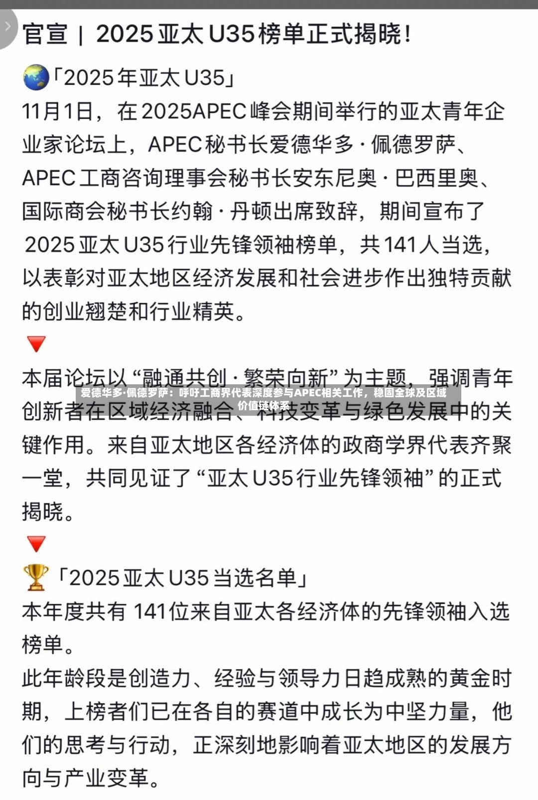 爱德华多·佩德罗萨：呼吁工商界代表深度参与APEC相关工作，稳固全球及区域价值链体系-第3张图片