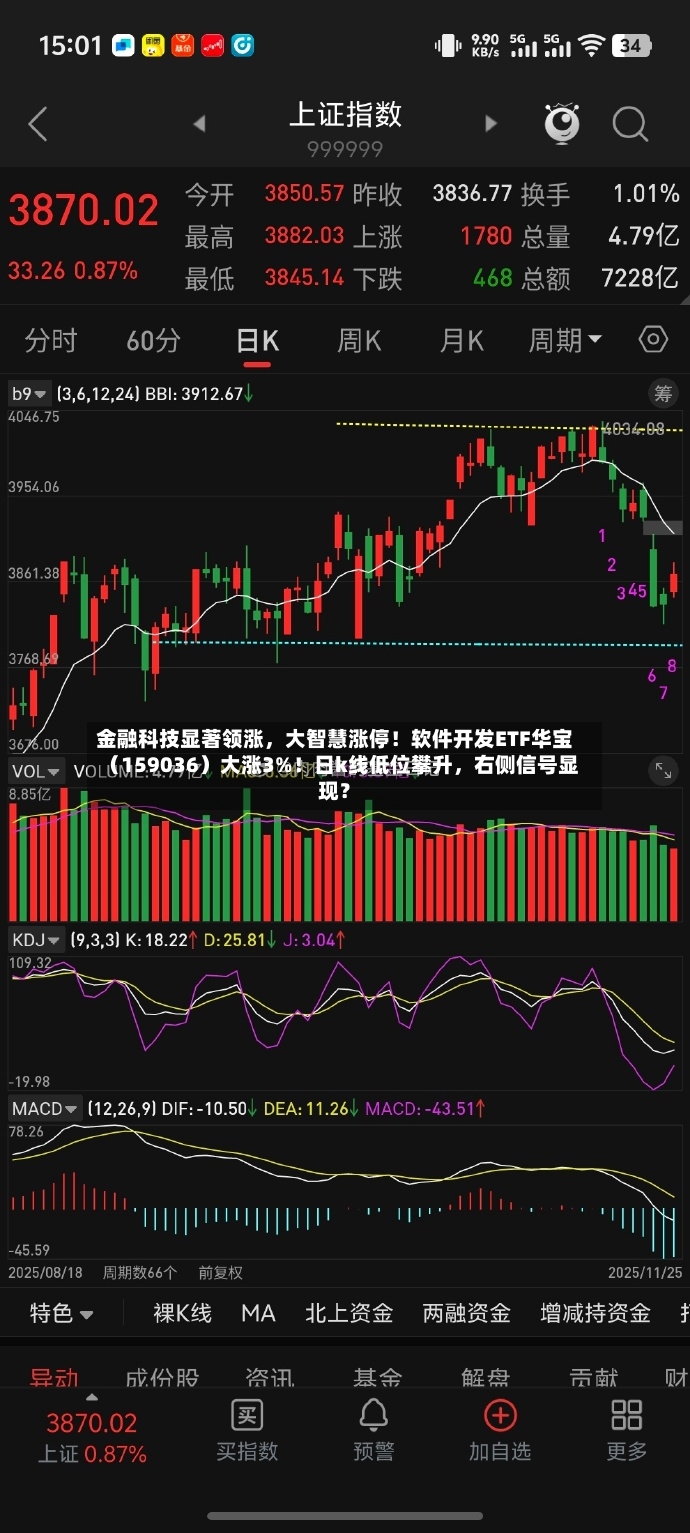 金融科技显著领涨，大智慧涨停！软件开发ETF华宝（159036）大涨3%！日k线低位攀升，右侧信号显现？-第2张图片