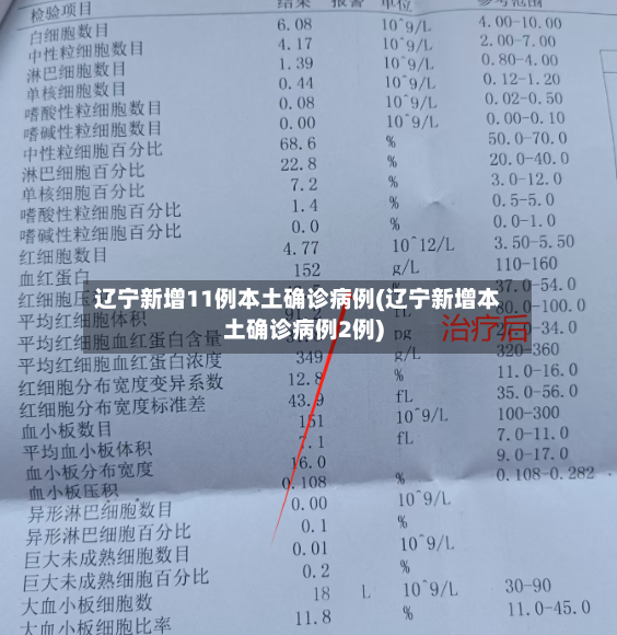 辽宁新增11例本土确诊病例(辽宁新增本土确诊病例2例)