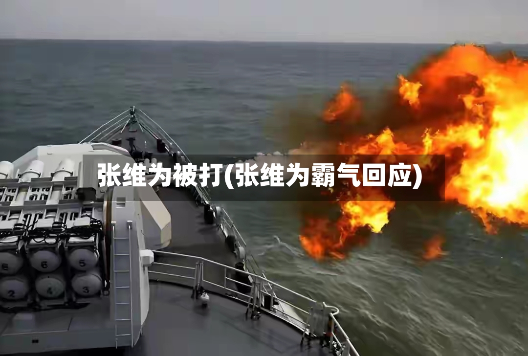 张维为被打(张维为霸气回应)