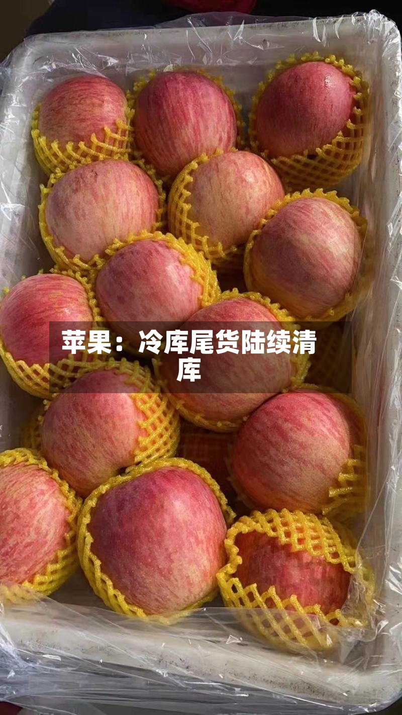 苹果:冷库尾货陆续清库-第2张图片