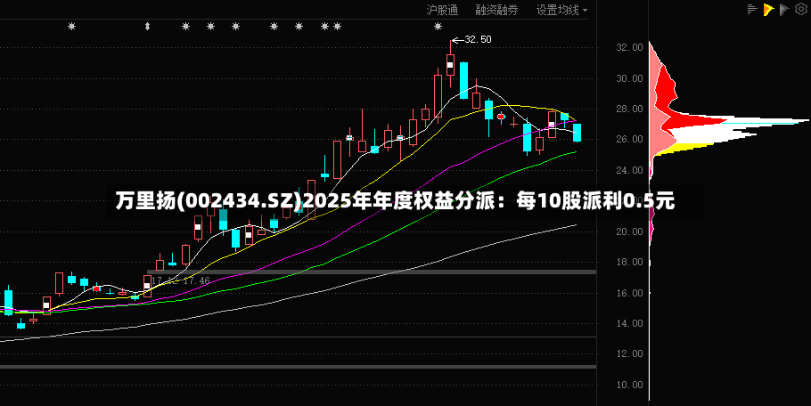 万里扬(002434.SZ)2025年年度权益分派:每10股派利0.5元-第2张图片