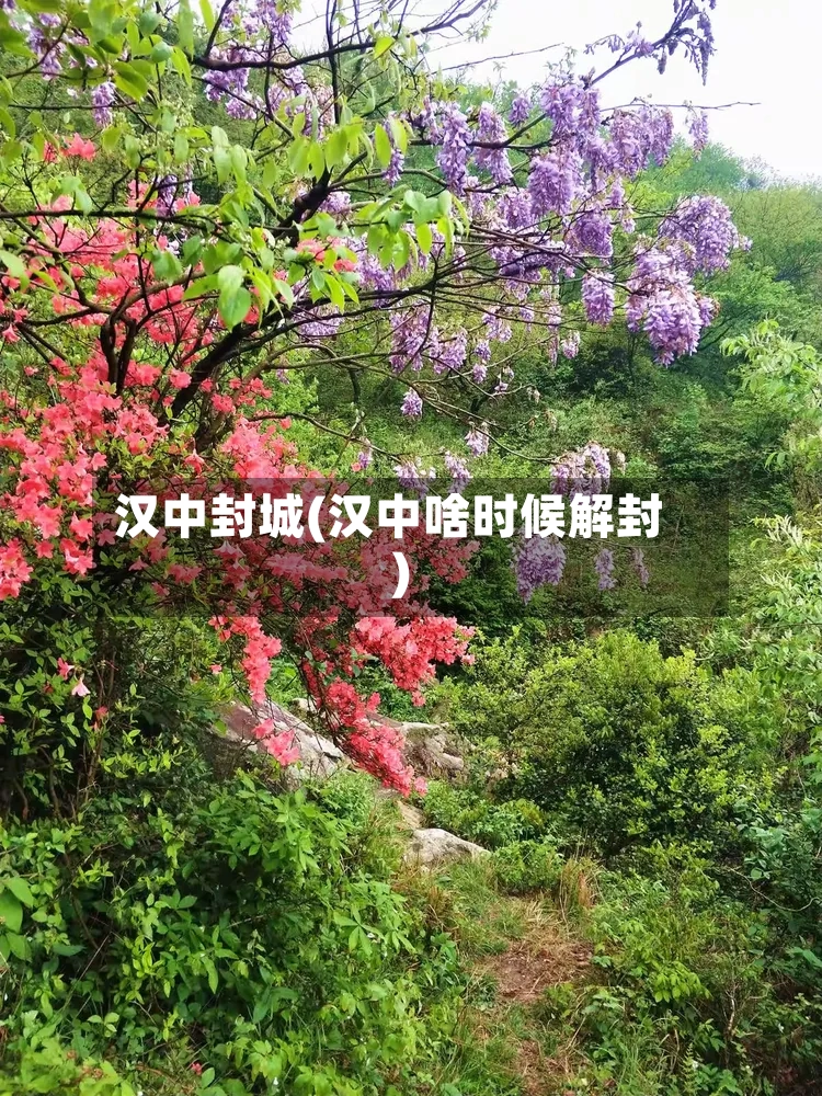 汉中封城(汉中啥时候解封)-第2张图片