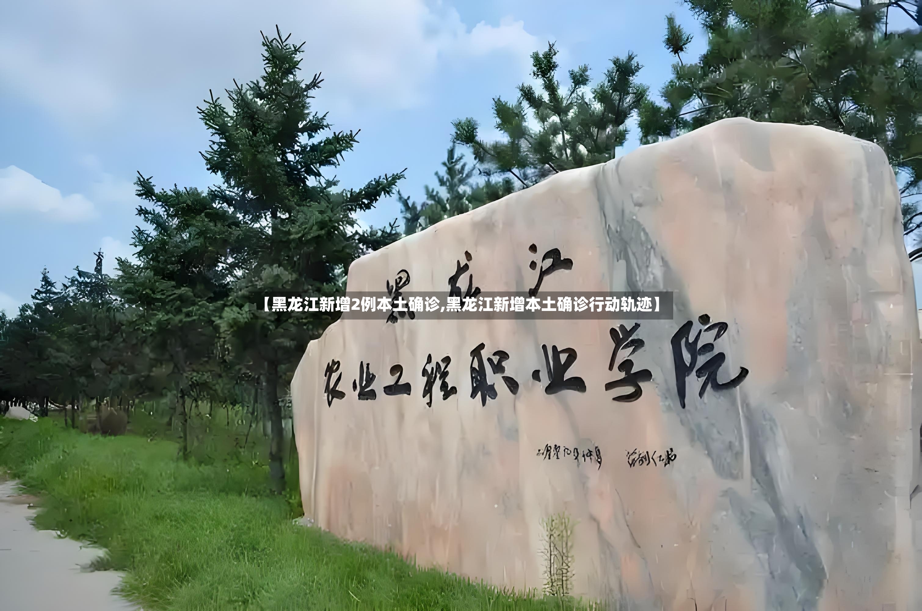 【黑龙江新增2例本土确诊,黑龙江新增本土确诊行动轨迹】