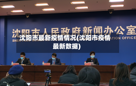 沈阳市最新疫情情况(沈阳市疫情最新数据)-第3张图片