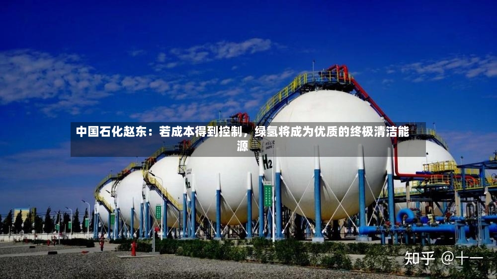 中国石化赵东：若成本得到控制，绿氢将成为优质的终极清洁能源-第2张图片